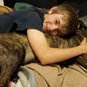 Meet your Posher, Winchester